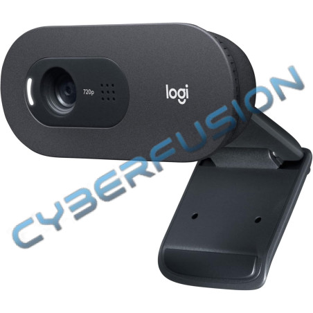 Logitech C505e HD Business