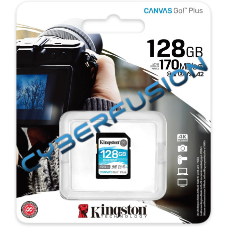 Kingston Canvas Go! Plus - 128Go