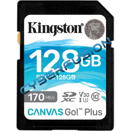 Kingston Canvas Go! Plus - 128Go