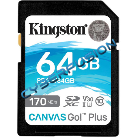 Kingston Canvas Go! Plus - 64Go