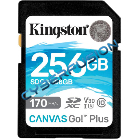 Kingston Canvas Go! Plus - 256Go