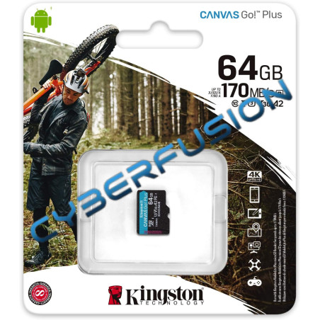 Kingston Canvas Go! Plus - 64Go Micro SD