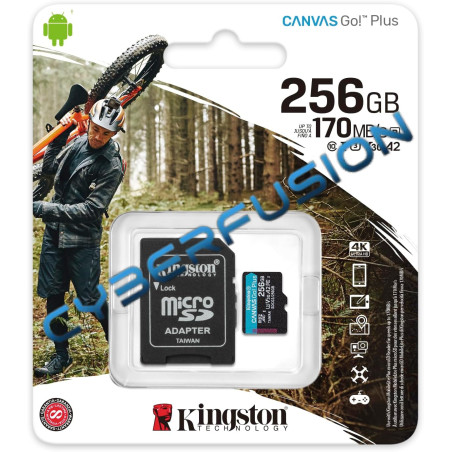 Kingston Canvas Go! Plus - 256Go Micro SD