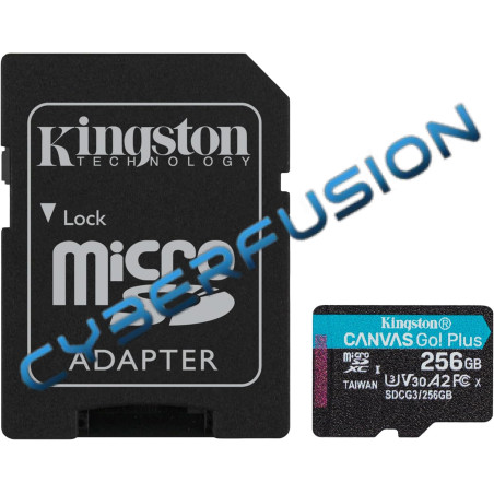 Kingston Canvas Go! Plus - 256Go Micro SD