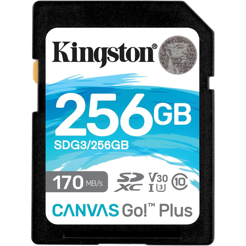 Kingston Canvas Go! Plus - 256Go SD