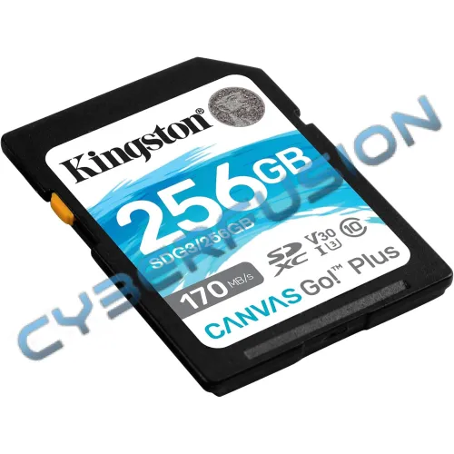 Kingston Canvas Go! Plus - 256Go SD