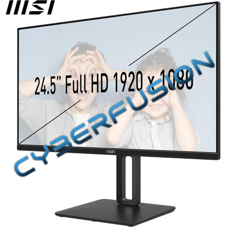 MSI Pro MP251 Full HD 100Hz (Noir)